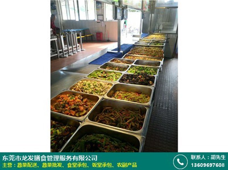 餐饮管理公司助力中小商户稳健发展