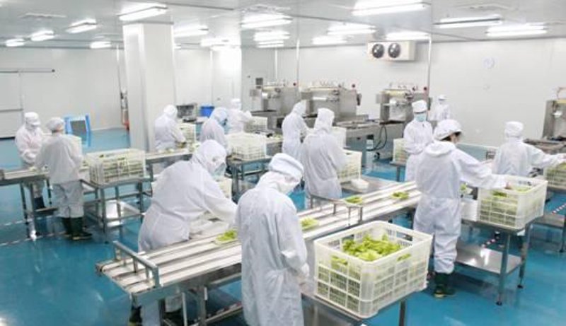 餐饮加盟市场风向标:如何抓住下一个风口?